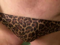 I put my thongs and bikinis on him and fondled him